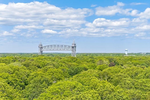 43 Seabreeze Dr, Bourne, MA 02532 - view of community with a forest view