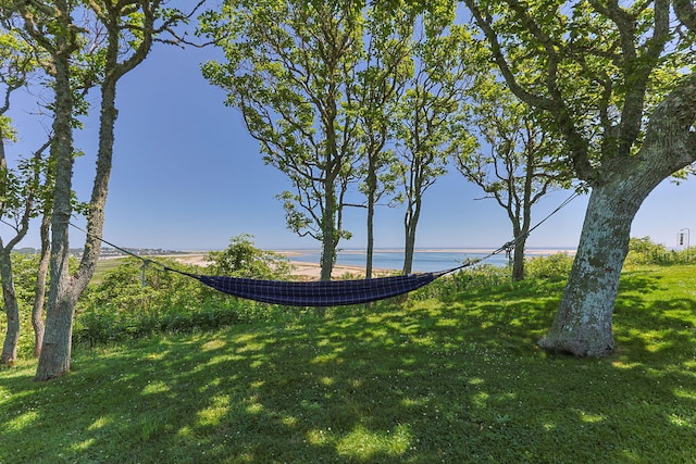 25 Wikis Way, Chatham, MA 02633 - view of grassy yard