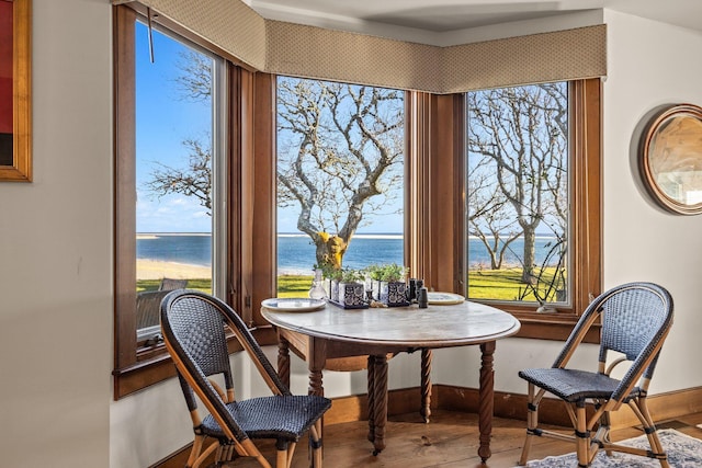 dining space featuring a water view, wood finished floors, healthy amount of natural light, and baseboards