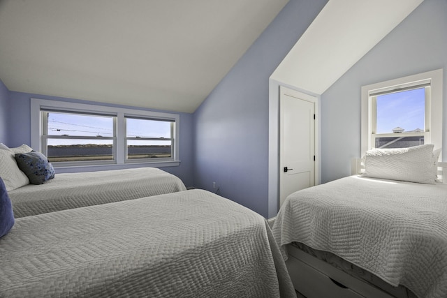 bedroom with vaulted ceiling