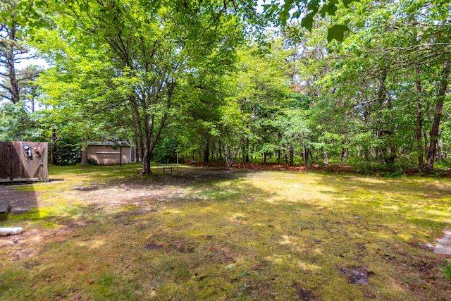 480 Forest Rd, South Yarmouth, MA 02664 - view of green lawn with a storage shed