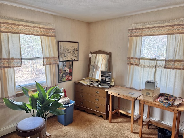 view of carpeted home office