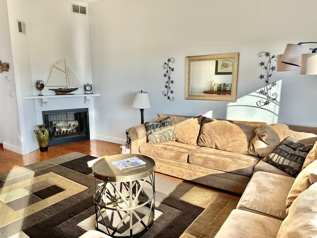 living room featuring wood-type flooring