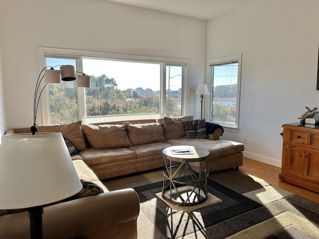 living room featuring light hardwood / wood-style flooring