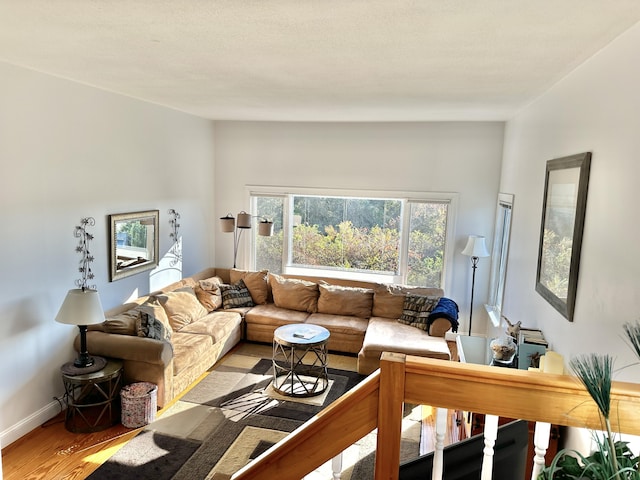 living room featuring light wood-type flooring