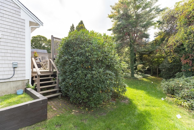 view of yard with a wooden deck