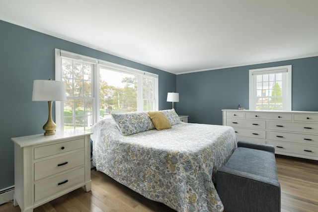 bedroom featuring a baseboard radiator, multiple windows, and light wood-type flooring