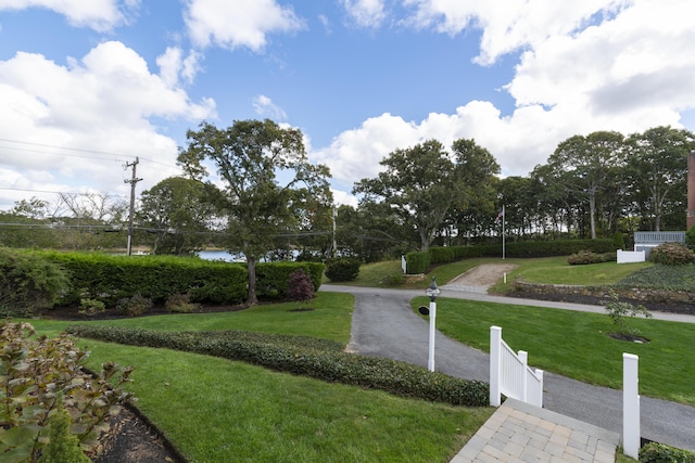 view of community with a yard