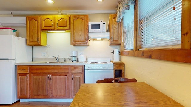 kitchen featuring exhaust hood, light countertops, a sink, white appliances, and crown molding
