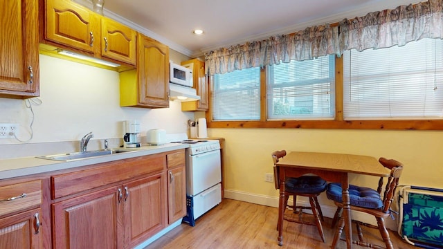 kitchen with light wood finished floors, under cabinet range hood, light countertops, a sink, and white appliances