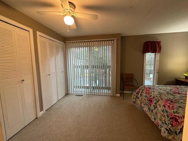 bedroom with carpet, two closets, baseboards, and multiple windows