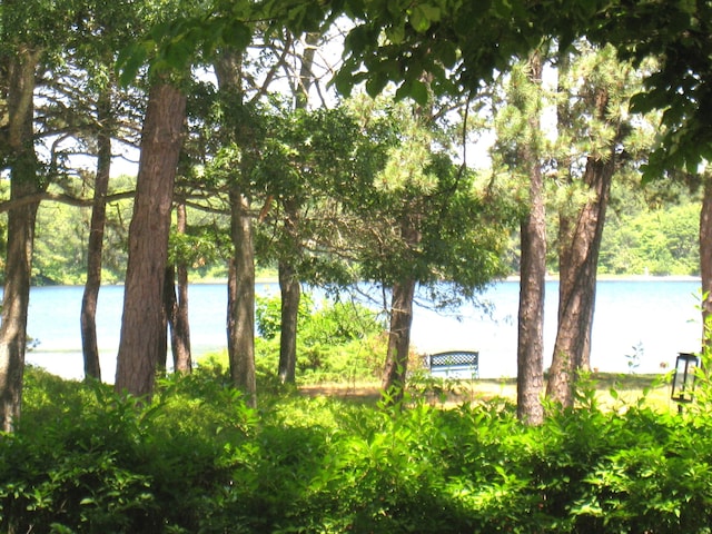 water view
