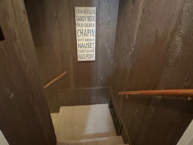 staircase with wood walls