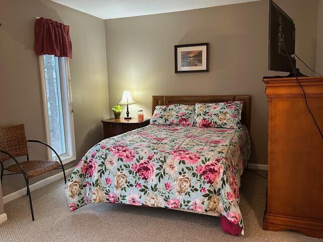 bedroom with baseboards and carpet flooring