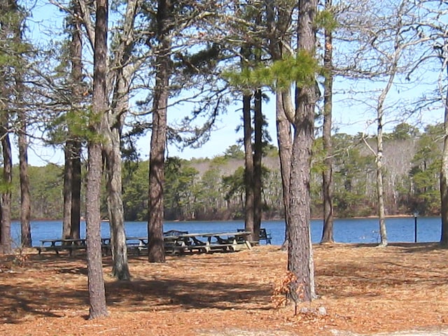water view featuring a wooded view