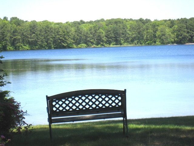 property view of water featuring a view of trees