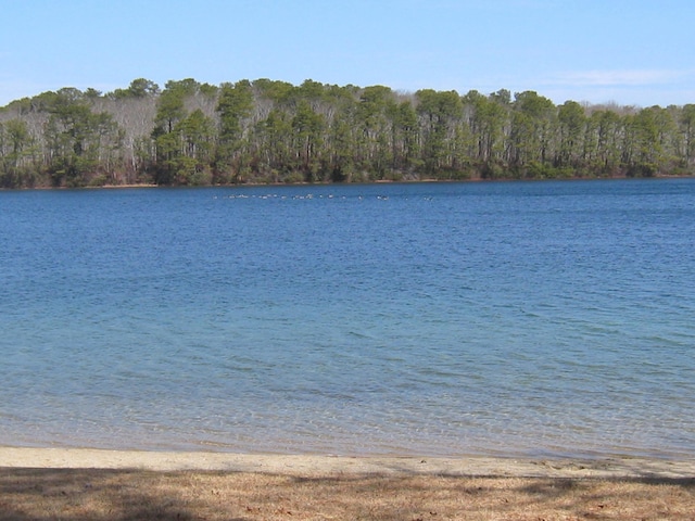 property view of water with a view of trees
