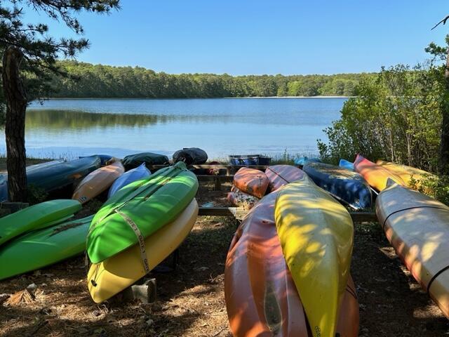 water view with a wooded view