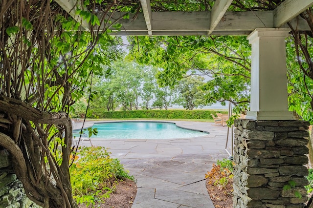 view of swimming pool featuring a patio area