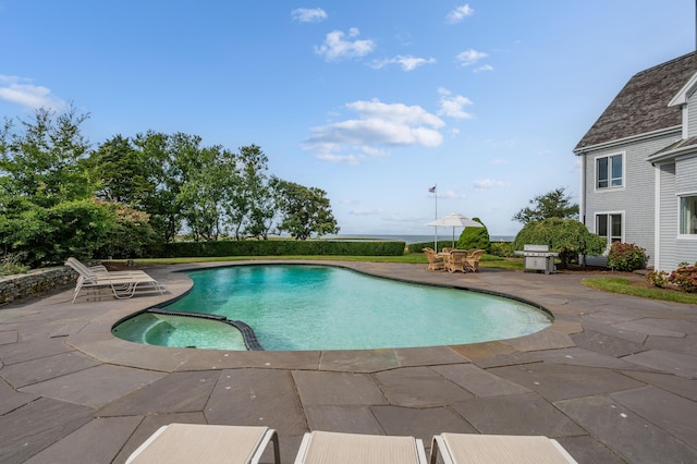 view of pool with area for grilling and a patio