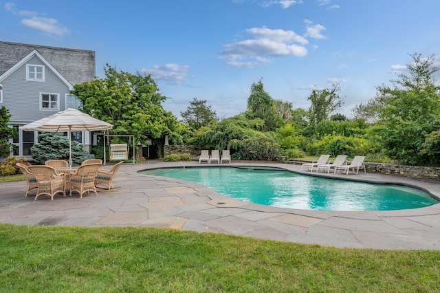 view of swimming pool featuring a patio area