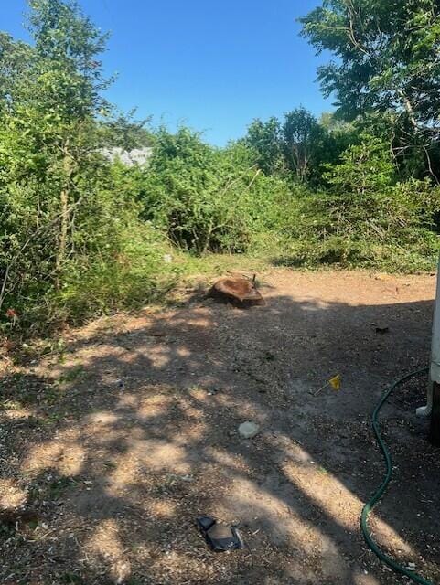 60 Baxter Ave, West Yarmouth, MA 02673 - view of local wilderness