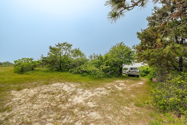 108 Bay View Ave, Edgartown, MA 02539 - view of yard