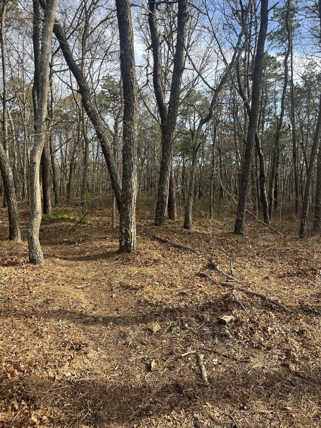 37 Cyprus Rd, South Dennis, MA 02660