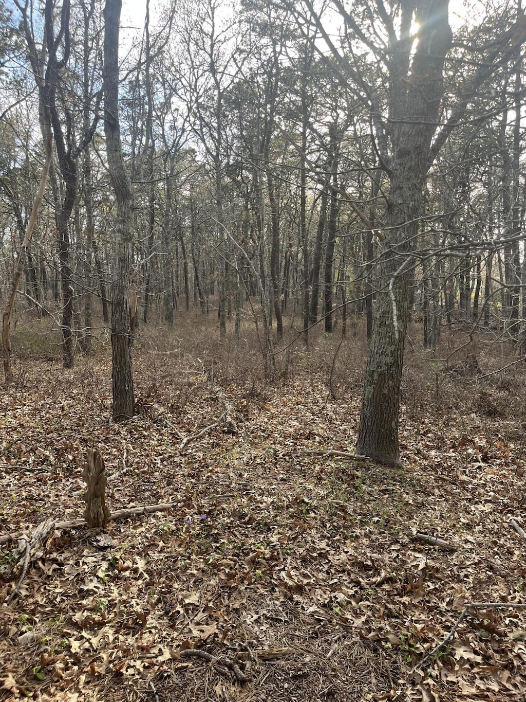 37 Cyprus Rd, South Dennis, MA 02660