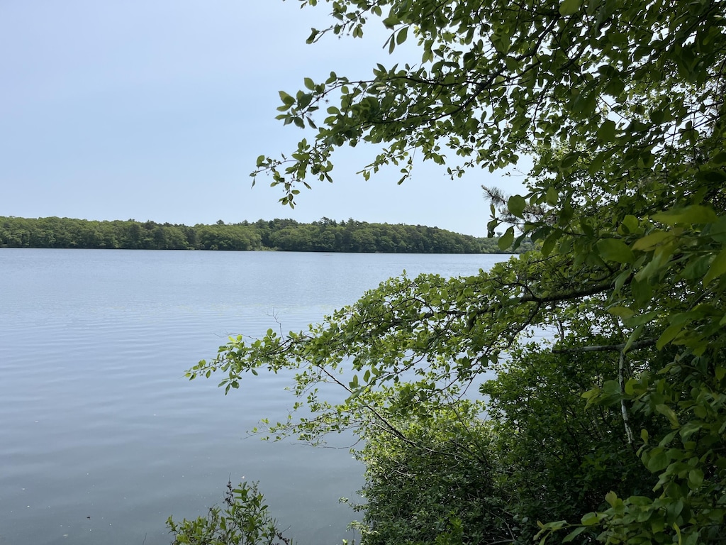 9 Santuit Ln, Mashpee, MA 02649 - water view featuring a forest