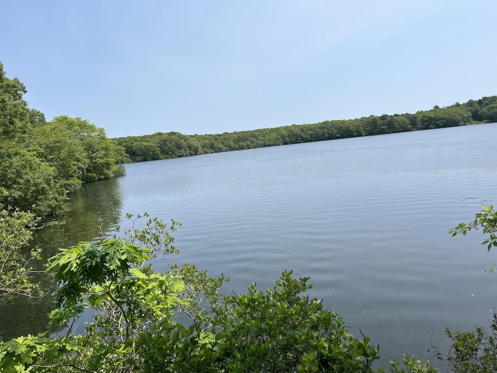 9 Santuit Ln, Mashpee, MA 02649 - water view featuring a forest