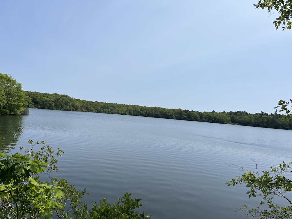 9 Santuit Ln, Mashpee, MA 02649 - water view featuring a heavily wooded area