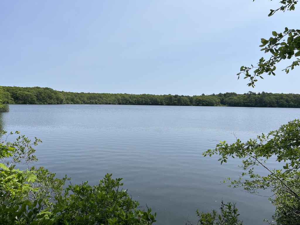 9 Santuit Ln, Mashpee, MA 02649 - water view featuring a forest