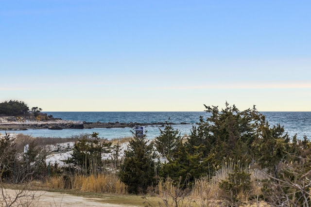 56 Hunt St, North Falmouth, MA 02556 - photo 16