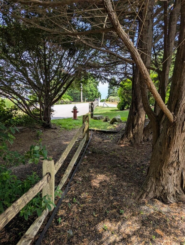 46 Juniper Ln W, South Chatham, MA 02659 - view of yard