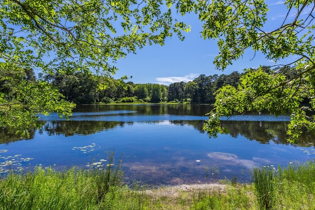50 Piper Ln, Eastham, MA 02642 - water view featuring a forest