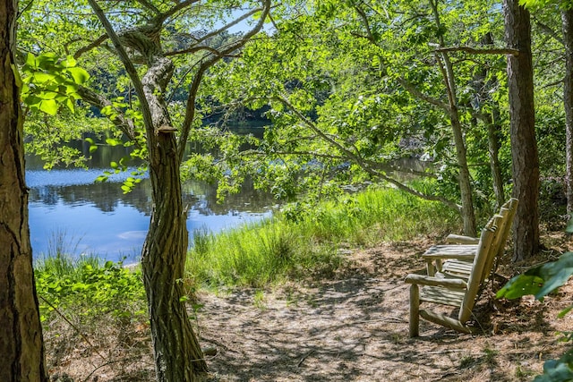 50 Piper Ln, Eastham, MA 02642 - water view
