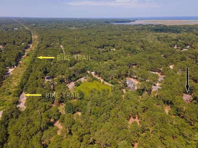 125 Gingerplum Ln, Eastham, MA 02642 - photo 39