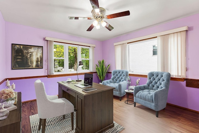 88 Hilltop St, Milton, MA 02186 - office featuring ceiling fan and light wood-style flooring