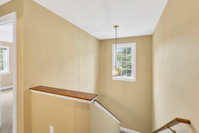 17 Hampton Ct, Mashpee, MA 02649 - photo 12