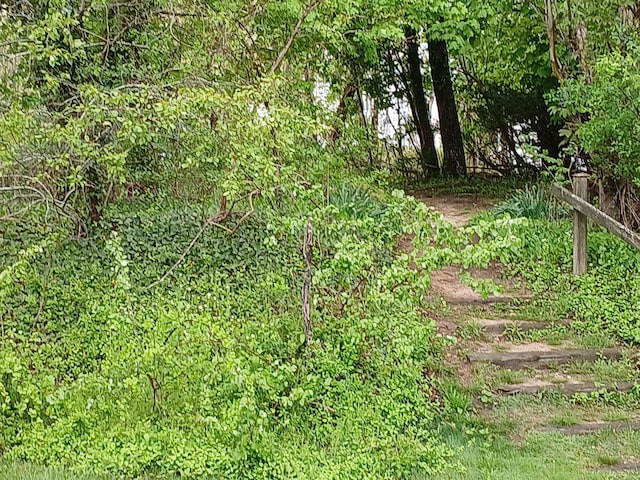 2 Englewood Dr Unit B-6, Harwich, MA 02645 - view of undeveloped land