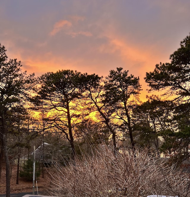 view of nature at dusk