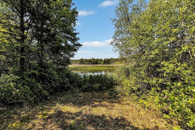 3 Five Corners Rd, Centerville, MA 02632 - water view featuring a heavily wooded area