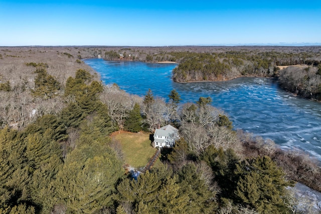 bird's eye view featuring a water view and a view of trees