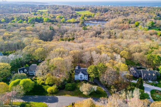 aerial overview of property's location with a heavily wooded area and a large body of water