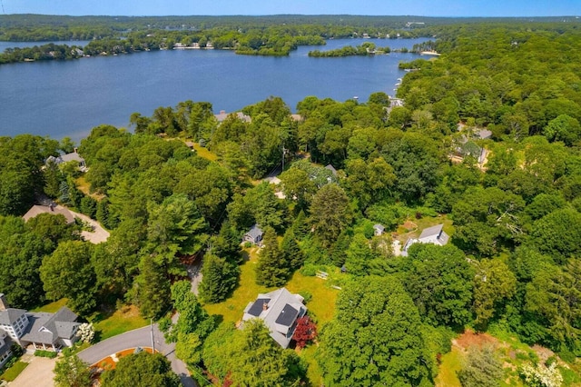 drone / aerial view of a forest and a large body of water
