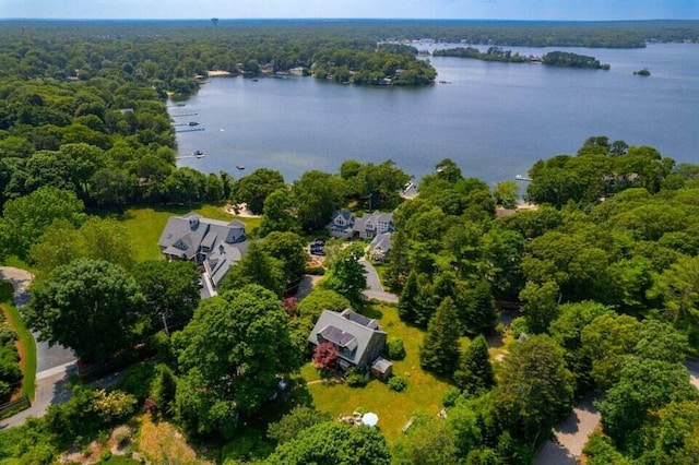 aerial view of property's location featuring a nearby body of water and a forest