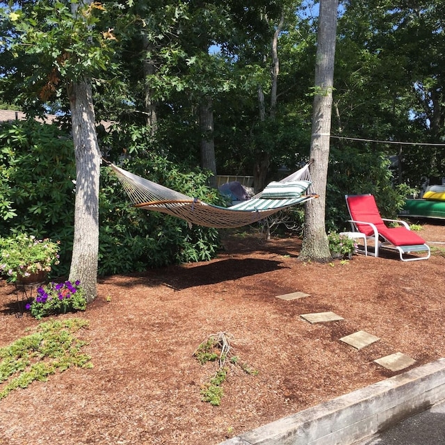 2 Naushon Rd, Mashpee, MA 02649 - view of yard