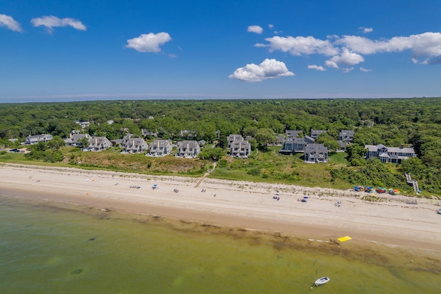 drone / aerial view of a forest and expansive beach