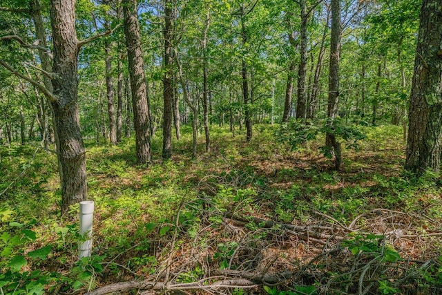 240 Gross Hill Rd, Wellfleet, MA 02667